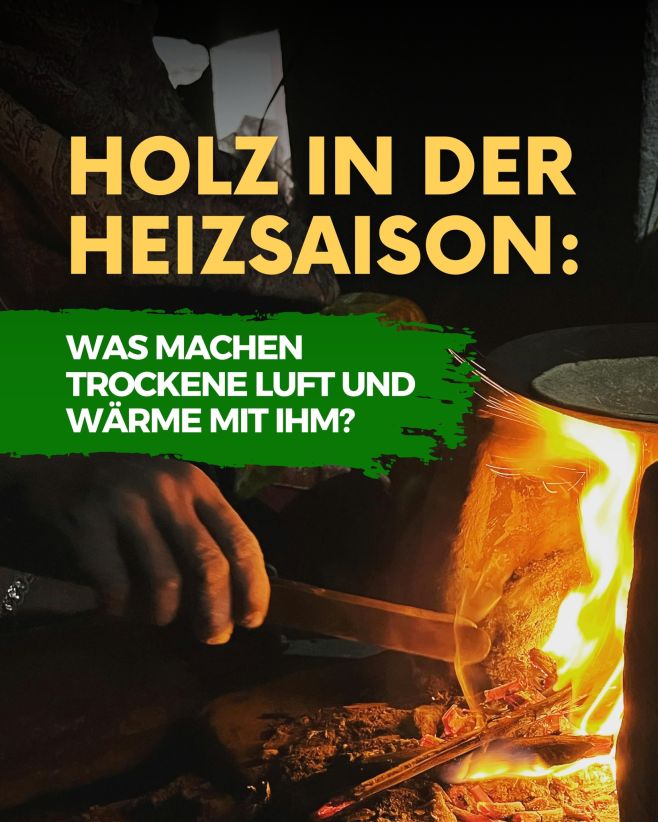 Holz verdient auch im Winter Aufmerksamkeit. 🌿 Bewahren Sie seine Schönheit und die warme Atmosphäre zu Hause. 🪵✨